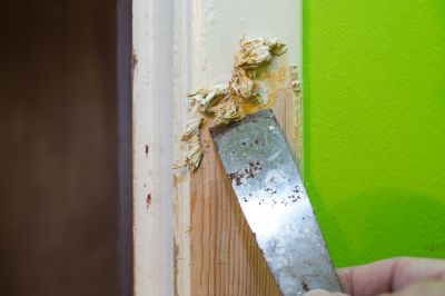 Interior Door Stripping